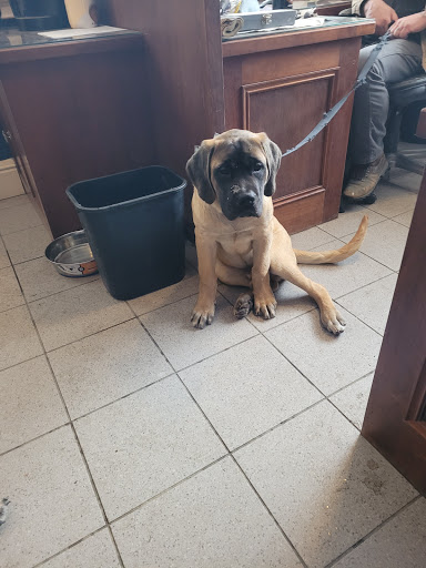 Auto Body Shop «The Body Shop 110 LLC», reviews and photos, 803 River Rd, Shelton, CT 06484, USA