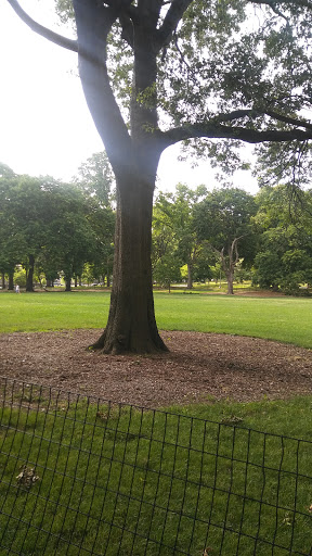 Park «Claremont Park», reviews and photos, Clay Ave & E. 170 St, Bronx, NY 10457, USA