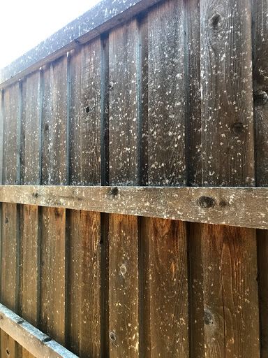 Roofing Contractor «Advantage Roofing Company», reviews and photos, 861 N Coleman St #180, Prosper, TX 75078, USA