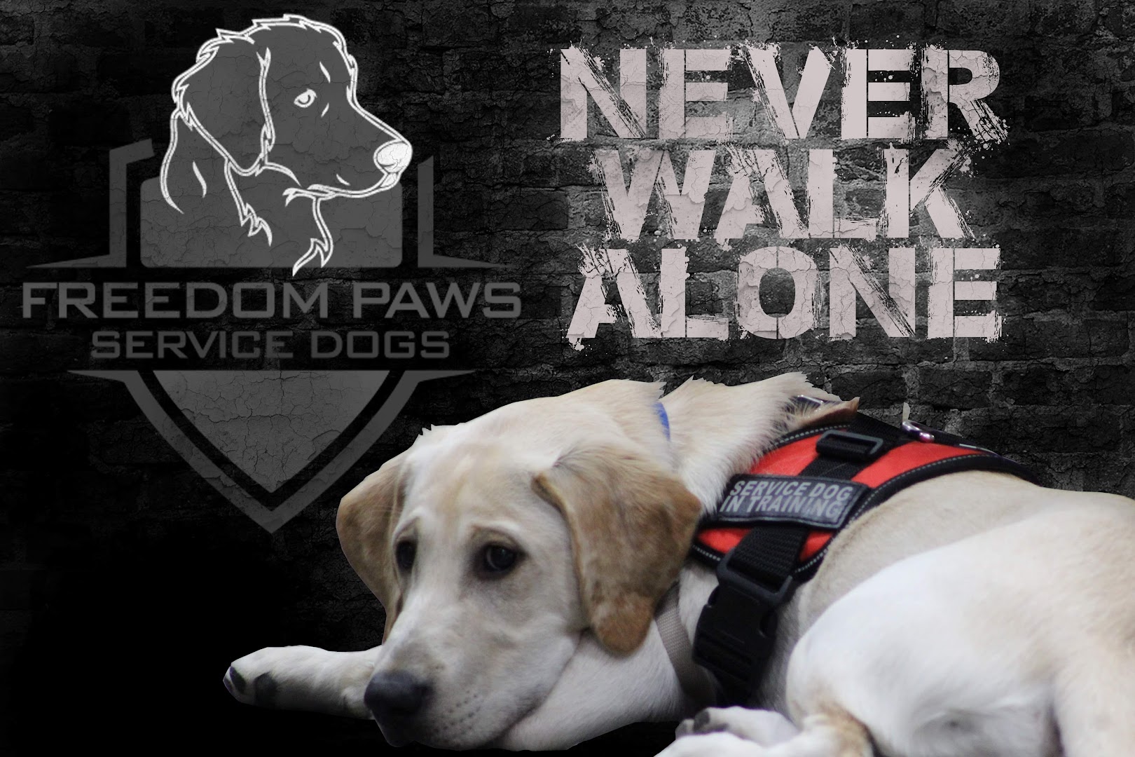 Freedom Paws Service Dogs Foundation