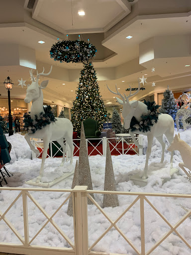 Shopping Mall «Citadel Mall», reviews and photos, 2070 Sam Rittenberg Blvd, Charleston, SC 29407, USA