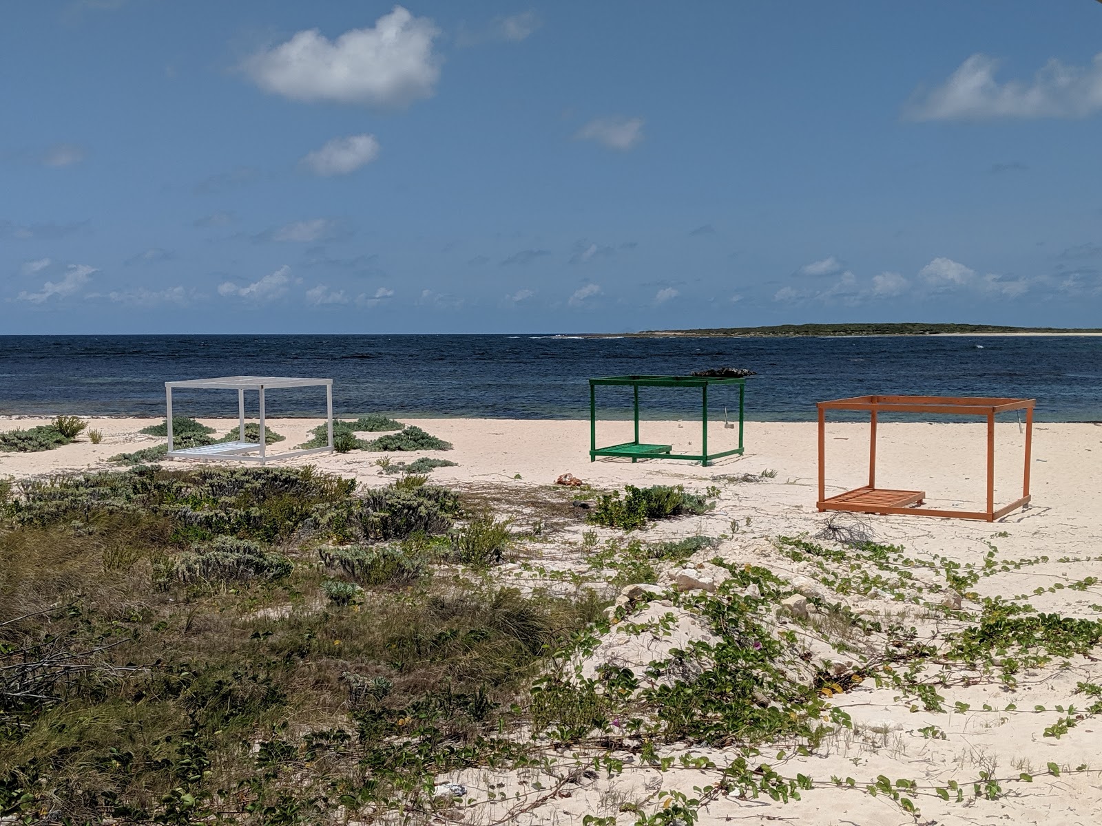 Fotografie cu Palm Grove cu golful spațios