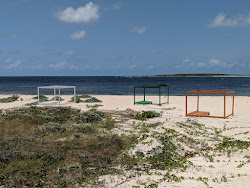 Fotografie cu Palm Grove cu golful spațios