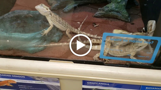 Pet Supply Store «PetSmart», reviews and photos, 159 N Weber Rd, Bolingbrook, IL 60490, USA