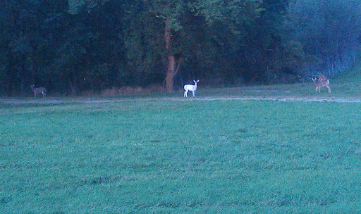 Golf Course «Airport Golf Course», reviews and photos, 900 N Hamilton Rd, Columbus, OH 43219, USA