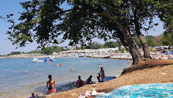 Photo de Lokvina beach zone de station balnéaire