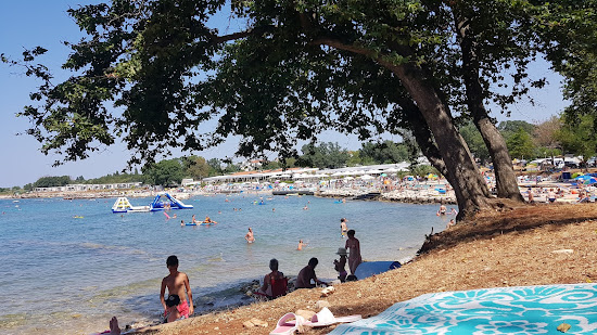 Lokvina beach