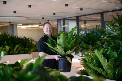 Ambius Indoor Plants Christchurch