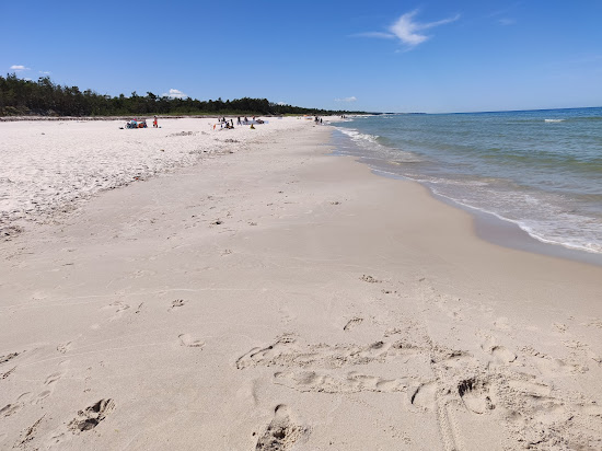 Osetnik Beach