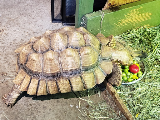 Pet Store «Critter Cabana - Wilsonville», reviews and photos, 8406 SW Main St #200, Wilsonville, OR 97070, USA