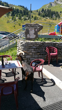 Atmosphère du Restaurant Jean de la Pipe à praz de lys - n°3