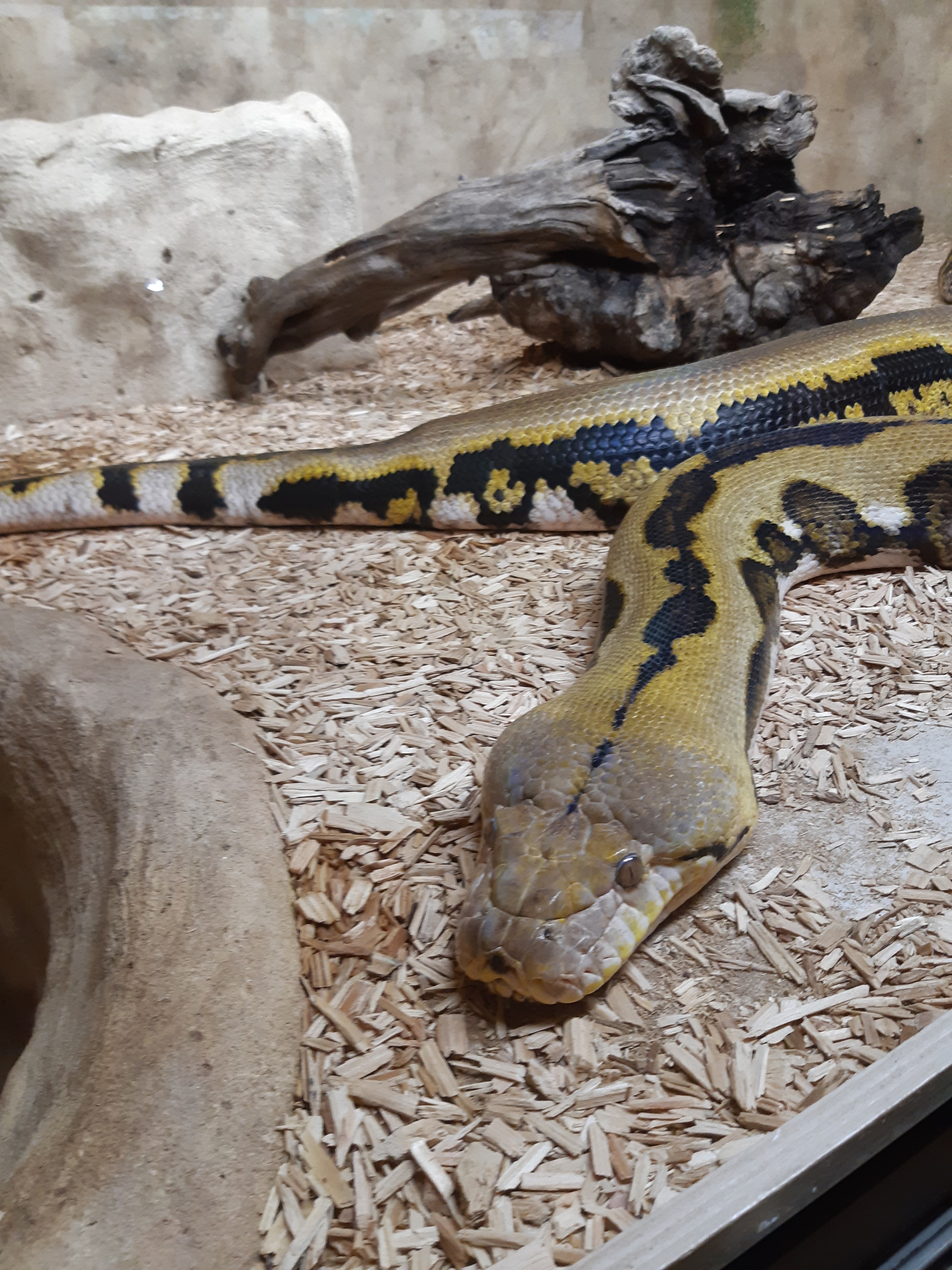 Photo n° 4 de l'avis de lisa-marie.e fait le 10/06/2019 à 20:06