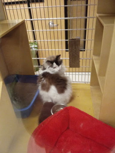 Pet Supply Store «PetSmart», reviews and photos, 1232 Hooper Ave, Toms River, NJ 08753, USA