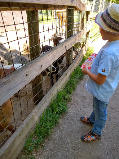 Zoo «Wilderness Trails Zoo», reviews and photos, 11721 Gera Rd, Birch Run, MI 48415, USA