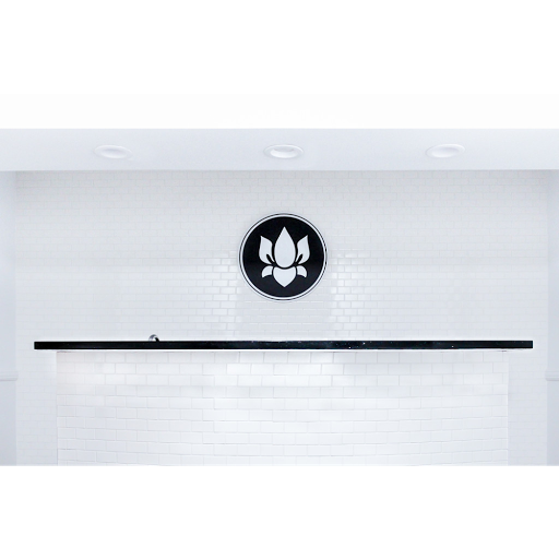 Yoga Studio «Live Lotus», reviews and photos, 556 N 1st St #3, San Jose, CA 95112, USA