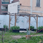 Photo n°8 de l'avis de Grazia.o fait le 16/03/2024 à 15:06 sur le  Rob de Matt à Milan