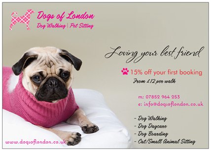 Dogs of London - Dog trainer
