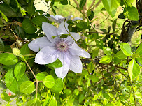 Anchises Media LLC - Photo 3 - Car repair in Macon, GA, Macon