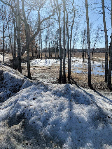 Toyota Dealer «Carlson Toyota», reviews and photos, 12880 Riverdale Dr NW, Coon Rapids, MN 55448, USA