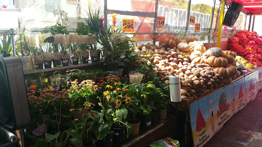 Supermarket «Key Food Marketplace», reviews and photos, 155-15 Aguilar Ave, Flushing, NY 11367, USA