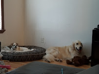 Dog Code Training - Photo 5 - Car repair in Chula Vista, CA, Chula Vista