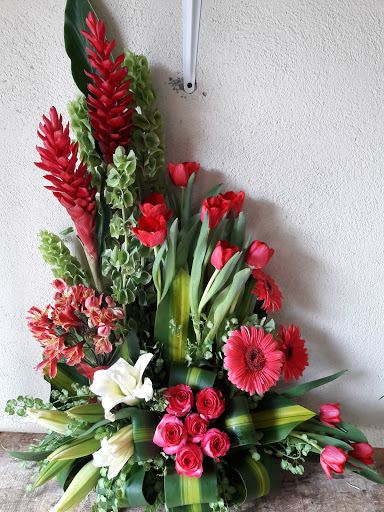 Xallac Orquídeas