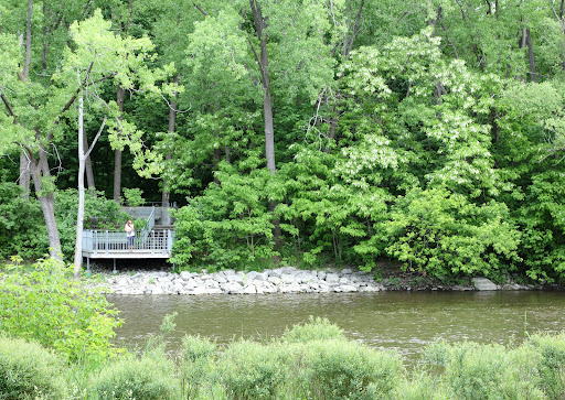 Des parcs pour les pique-niques Montreal