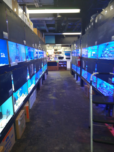 Pet Store «Something Fishy: Saltwater Aquarium Superstore», reviews and photos, 511 E 21st St, Northampton, PA 18067, USA