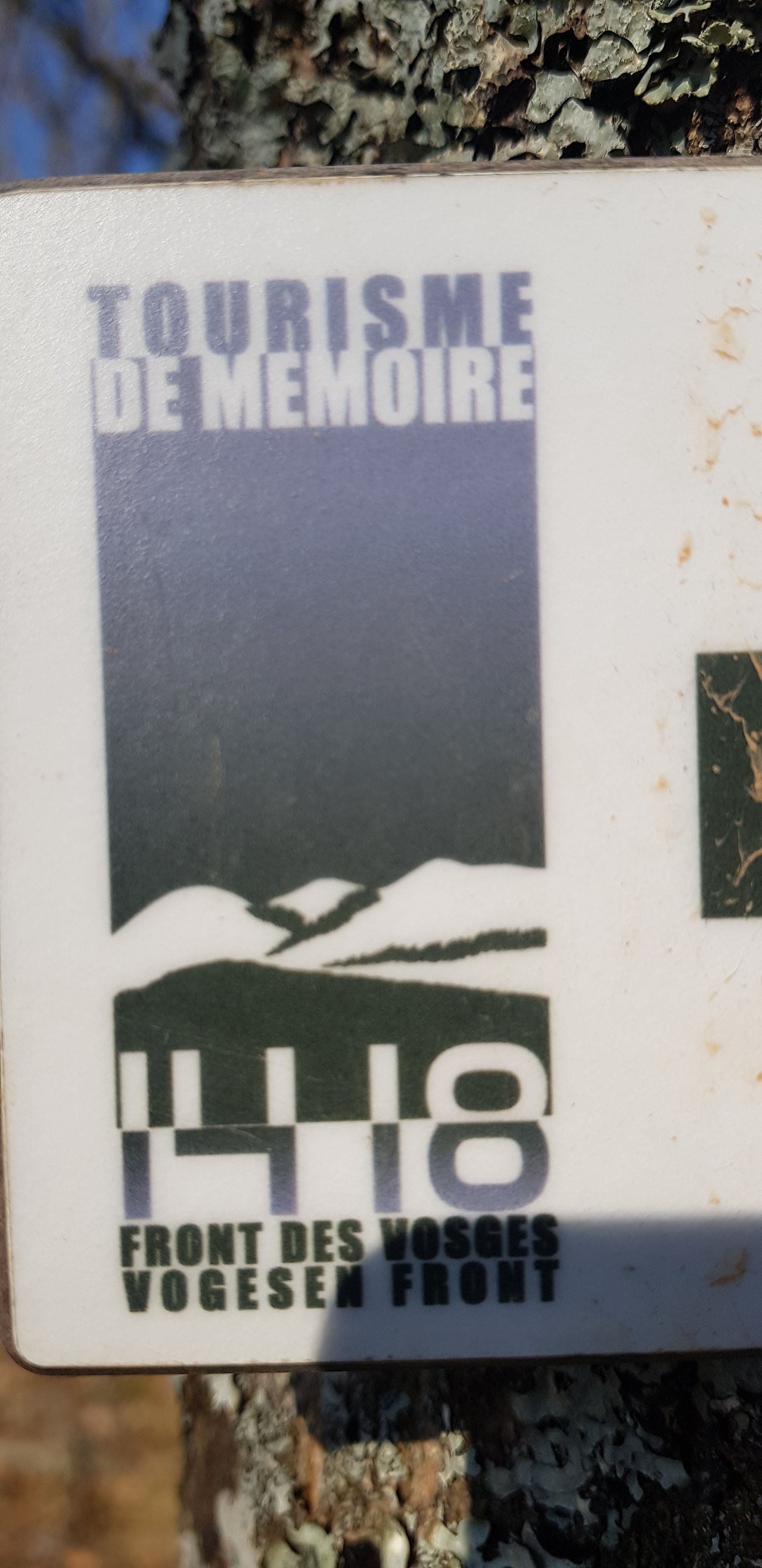 Photo n° 46 de l'avis de Alex.t fait le 22/03/2022 à 18:40