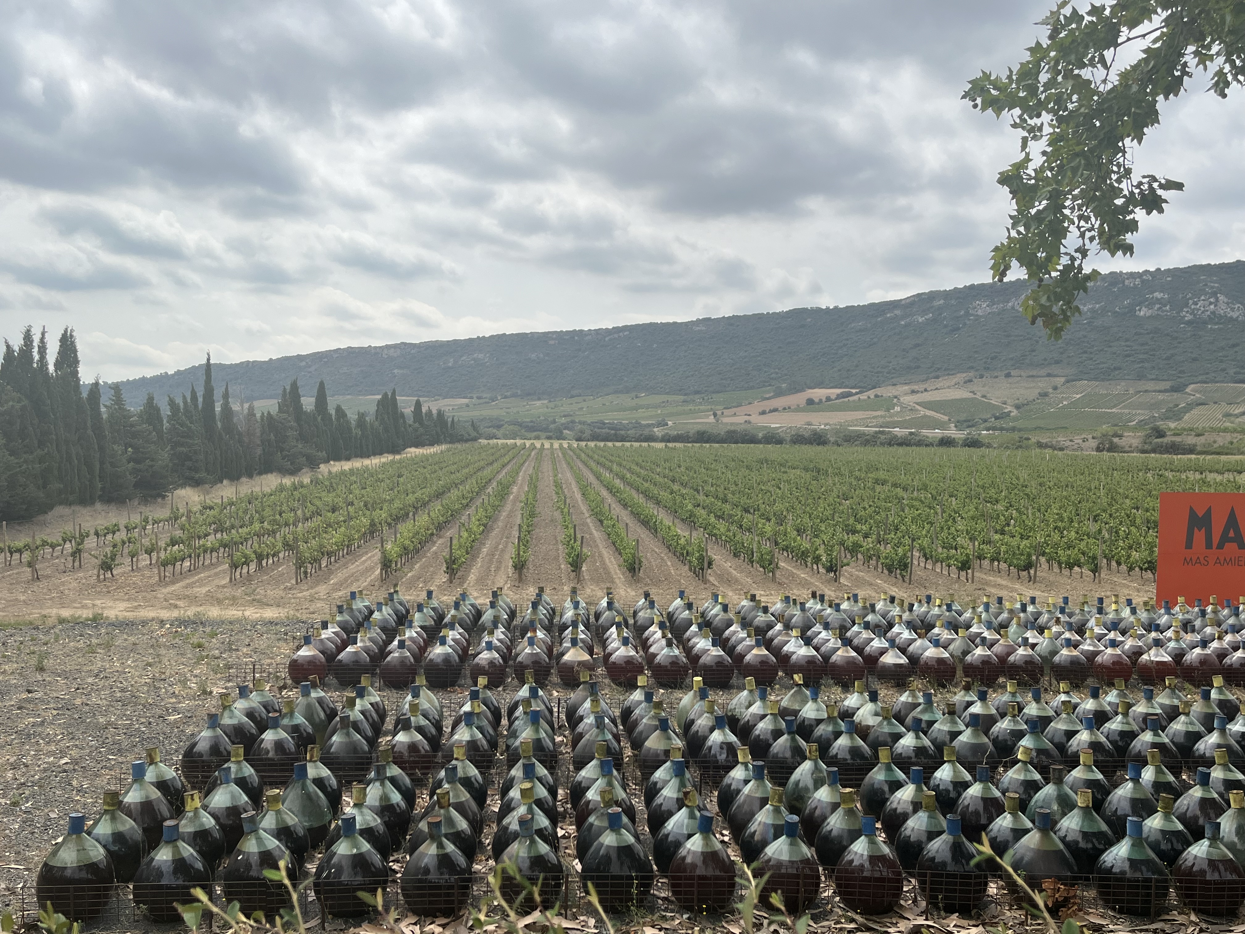 Photo n° 9 de l'avis de Johnny.o fait le 16/08/2023 à 11:22