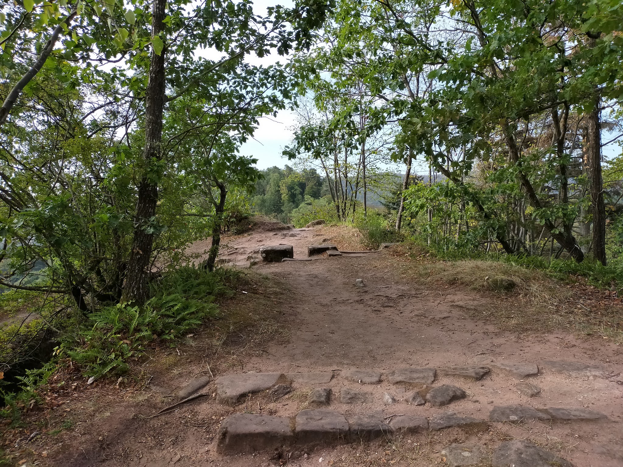 Photo n° 1 de l'avis de Julien.o fait le 30/09/2020 à 16:17