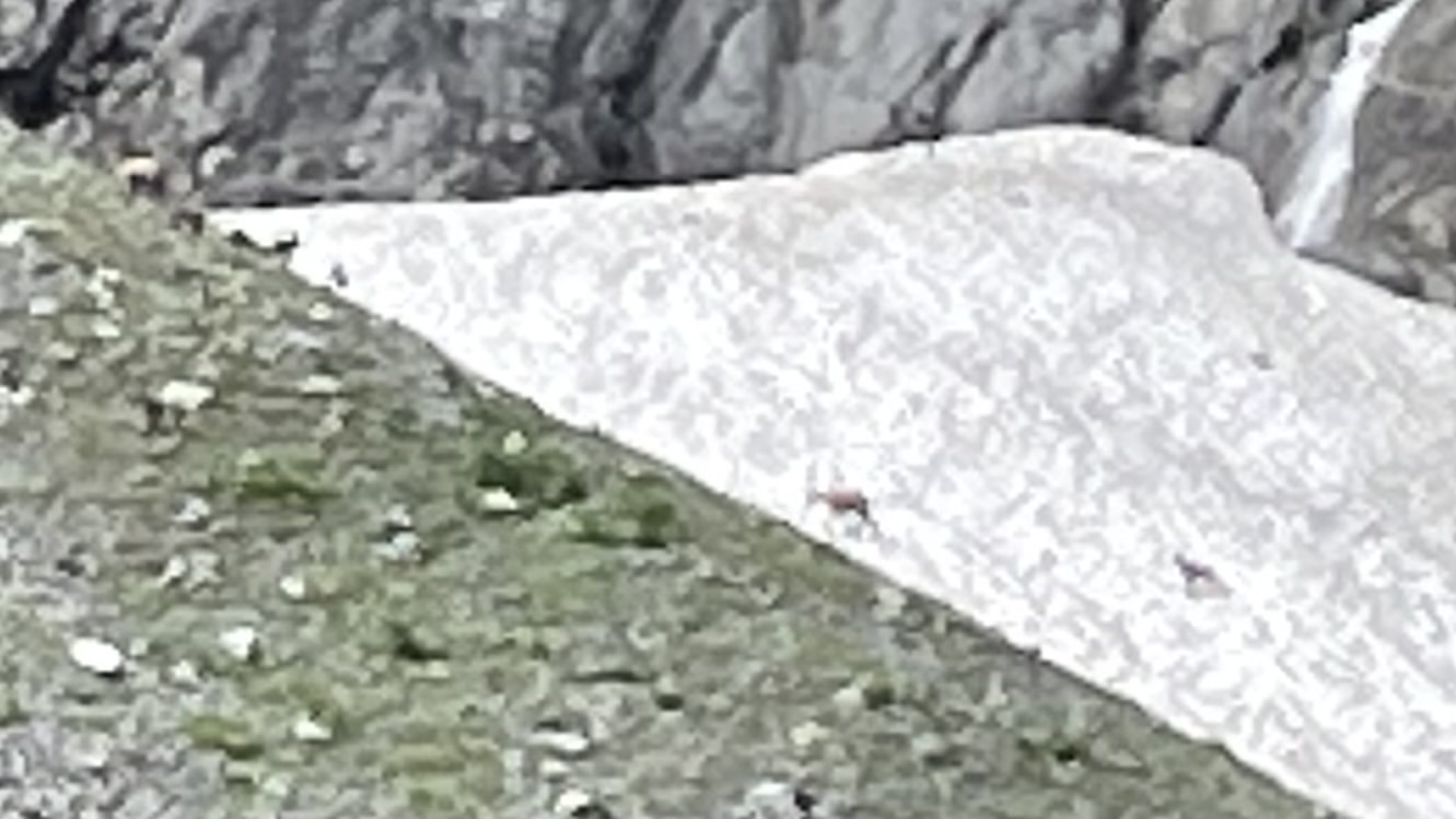 Photo n° 17 de l'avis de Rodolphe.E fait le 07/07/2023 à 17:05