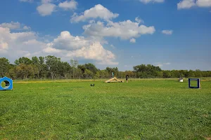 Watertown Dog Park image