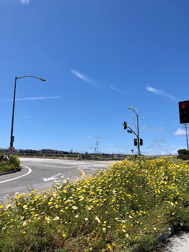 Playa Place image