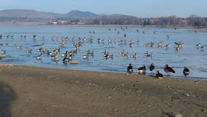Dawson Park - photo 51