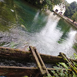 Photo n°42 de l'avis de Tomasz.r fait le 30/08/2021 à 17:59 sur le  Blautopfhaus Schönhofer am Blautopf à Blaubeuren
