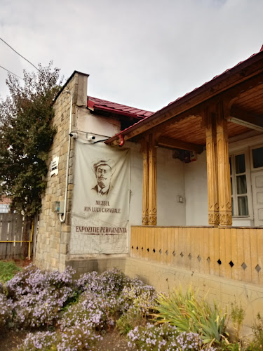 Opinii despre Casa Memorială Ion Luca Caragiale / în <nil> - Muzeu