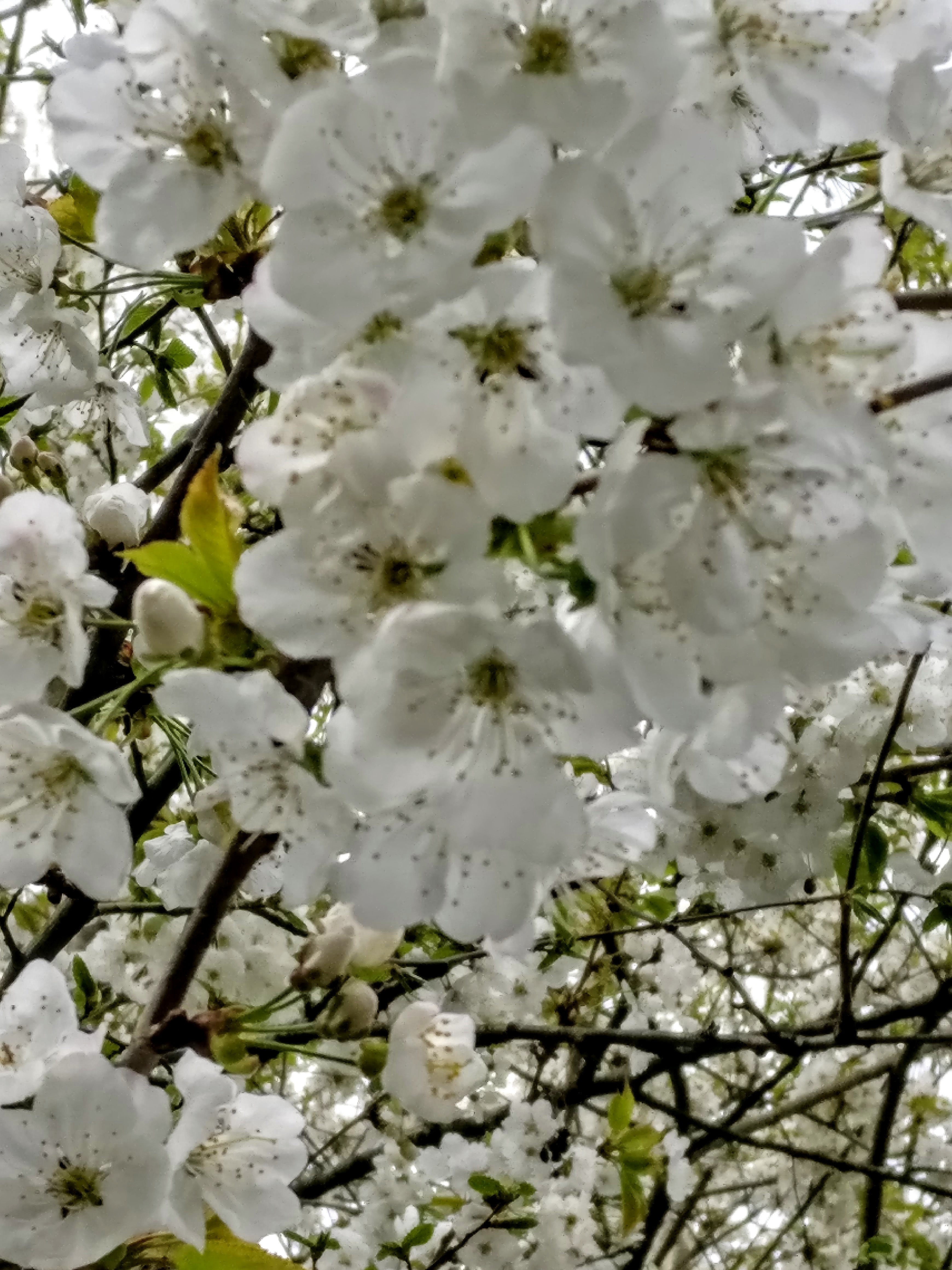Photo n° 3 de l'avis de Marie-Jacqueline.P fait le 01/05/2018 à 07:27