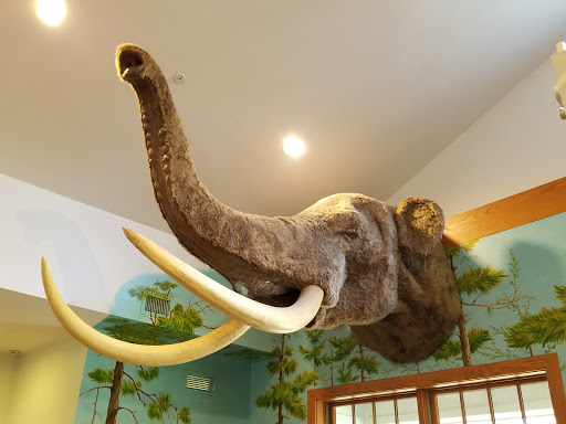 Nature Preserve «Stage Nature Center», reviews and photos, 6685 Coolidge Hwy, Troy, MI 48098, USA