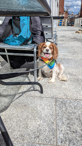 Ice Cream Shop «The Gelato Fiasco Old Port», reviews and photos, 425 Fore St, Portland, ME 04101, USA