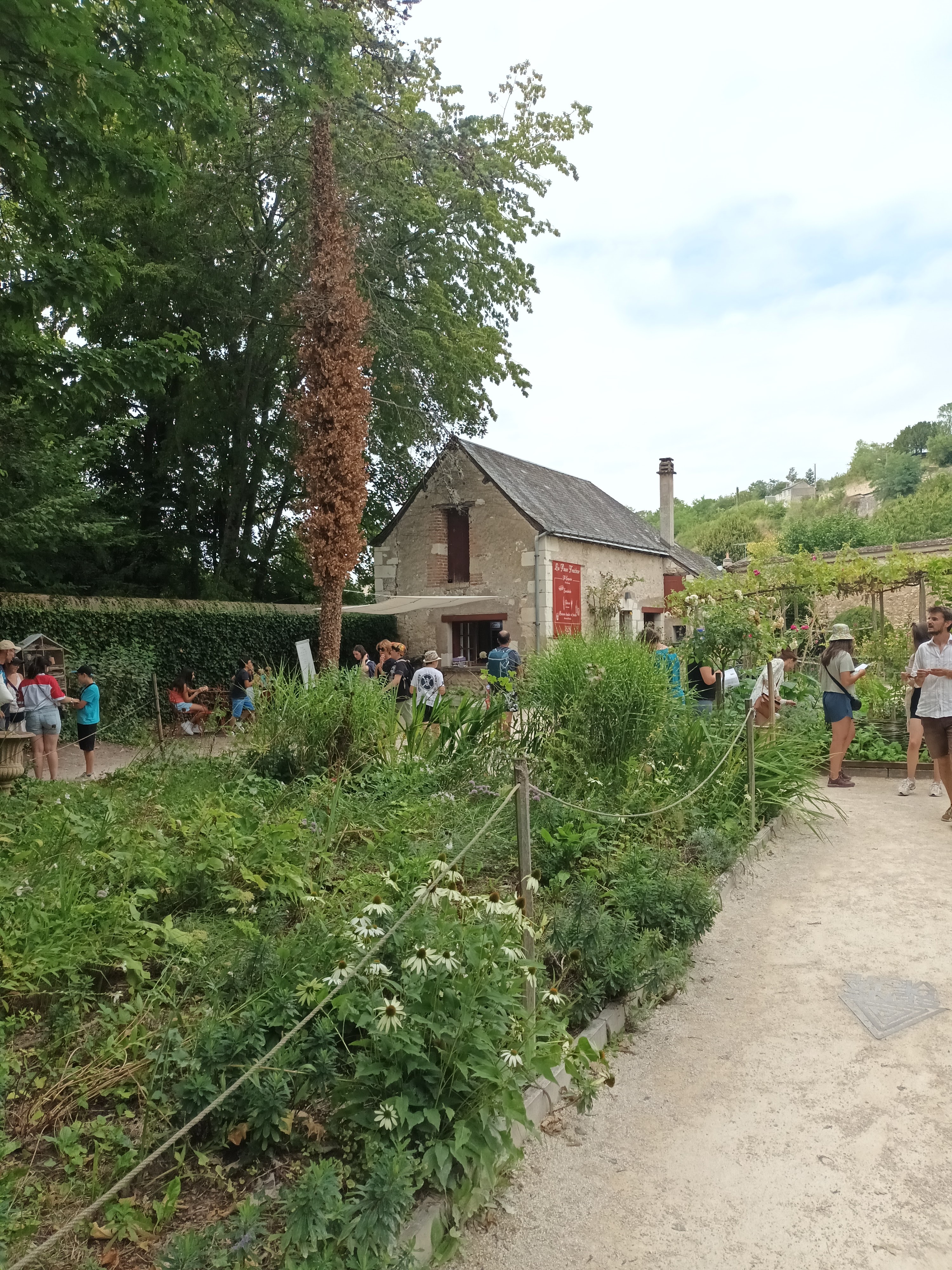 Photo n° 39 de l'avis de mazeos.a fait le 15/08/2023 à 14:51