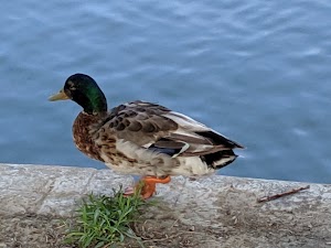 City Lake Park - photo 17