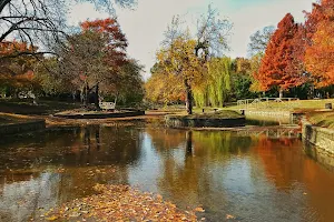 Mallon Park image