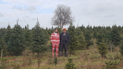 Vanderklooster Christmas Trees