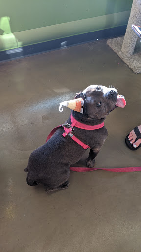 Pet Supply Store «Pet Supplies Plus», reviews and photos, 9 Waukegan Rd, Deerfield, IL 60015, USA