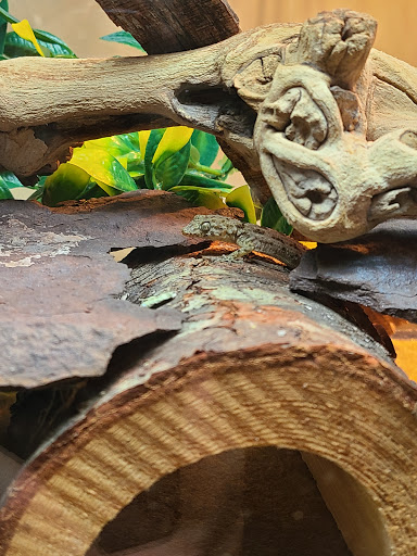 Pet Supply Store «Petco Animal Supplies», reviews and photos, 1065 Kennedy Rd, Windsor, CT 06095, USA