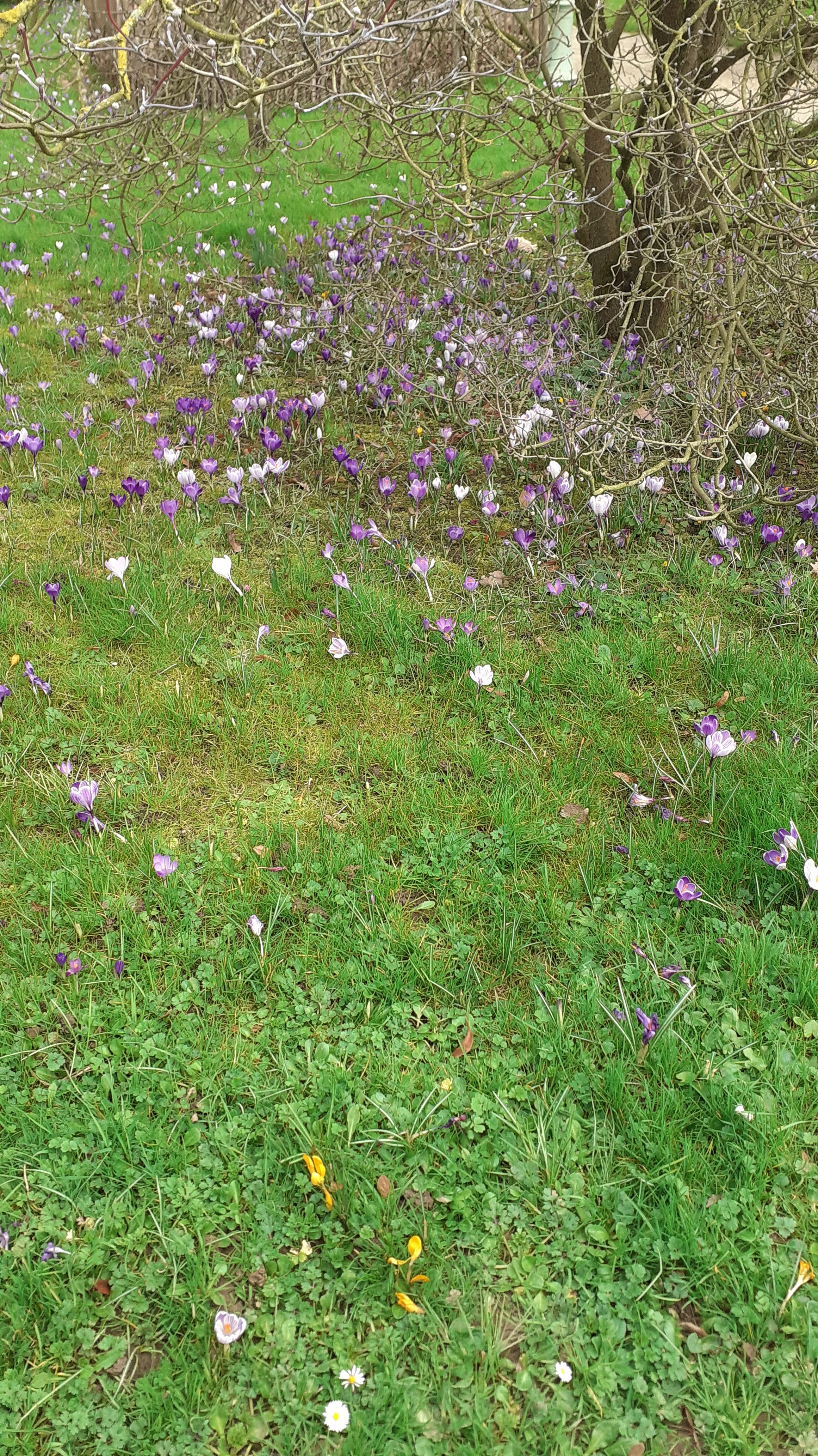 Photo n° 11 de l'avis de Aurélie.a fait le 22/02/2022 à 17:32