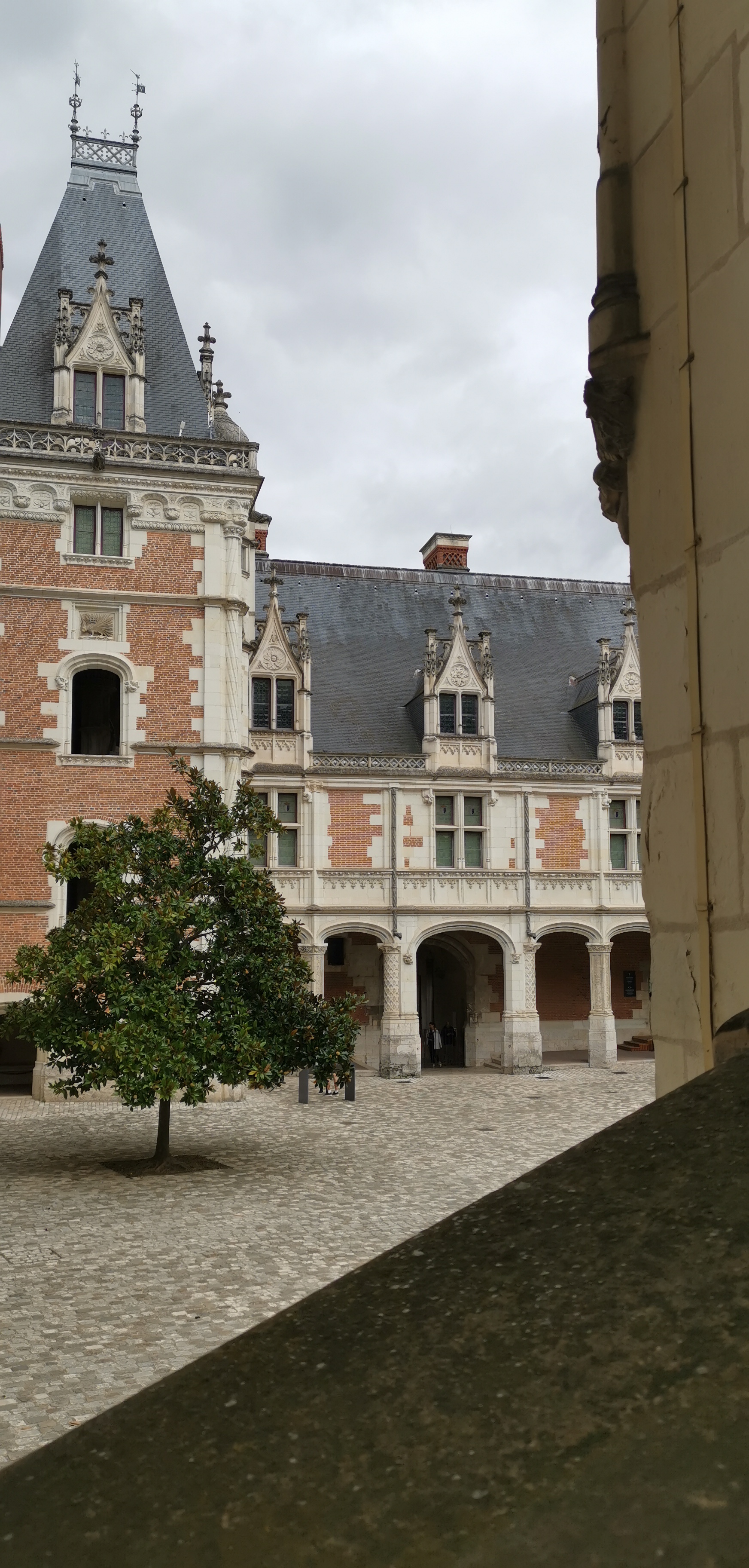 Photo n° 1 de l'avis de Pecqueur.r fait le 04/11/2023 à 16:07