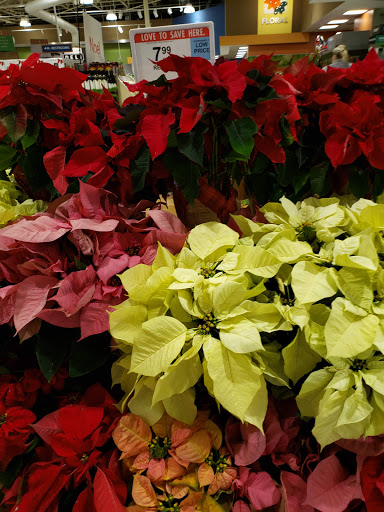 Supermarket «Publix Super Market at Sandy Plains Exchange», reviews and photos, 1860 Sandy Plains Rd, Marietta, GA 30066, USA