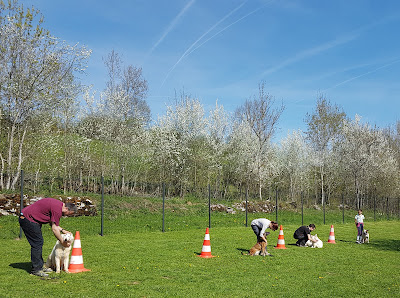 ÉduC'anine - Jura / Educateur Canin / Dresseur Canin/Pension Canine à Gillois